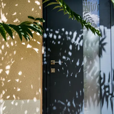 Le Nid Des Ailes Piscine Jardin Parking Centre-ville Apartment *