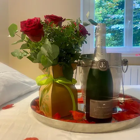 Le Nid Des Ailes Piscine Jardin Parking Centre-ville Apartman