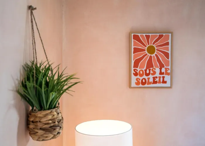 Le Nid Des Ailes Piscine Jardin Parking Centre-ville Apartman *