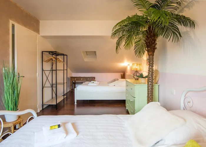 Le Nid Des Ailes Piscine Jardin Parking Centre-ville Apartman Millau