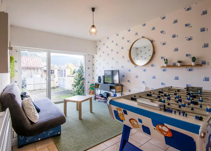 Le Nid Des Ailes Piscine Jardin Parking Centre-ville Apartman