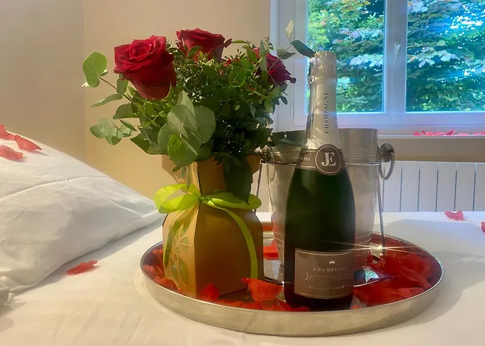 Le Nid Des Ailes Piscine Jardin Parking Centre-ville Apartman